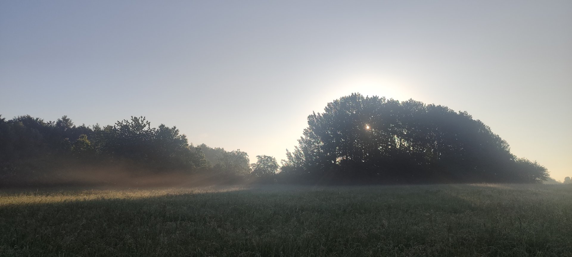Foto aus dem Schwarm